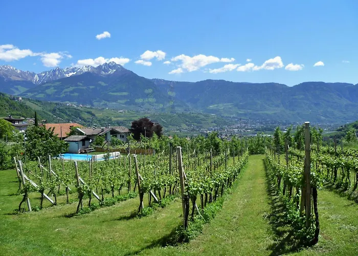 Fröhlichhof Wohnung Apfelblüte Algund